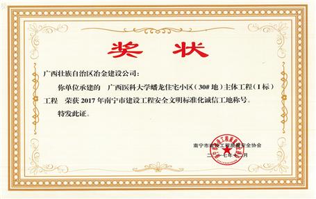 南寧分公司四個項目獲表彰！