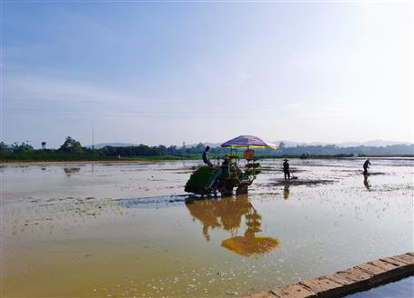 千畝“瘦地”變“肥田”丨石碑坪“旱改水”項(xiàng)目出成效，助力鄉(xiāng)村振興